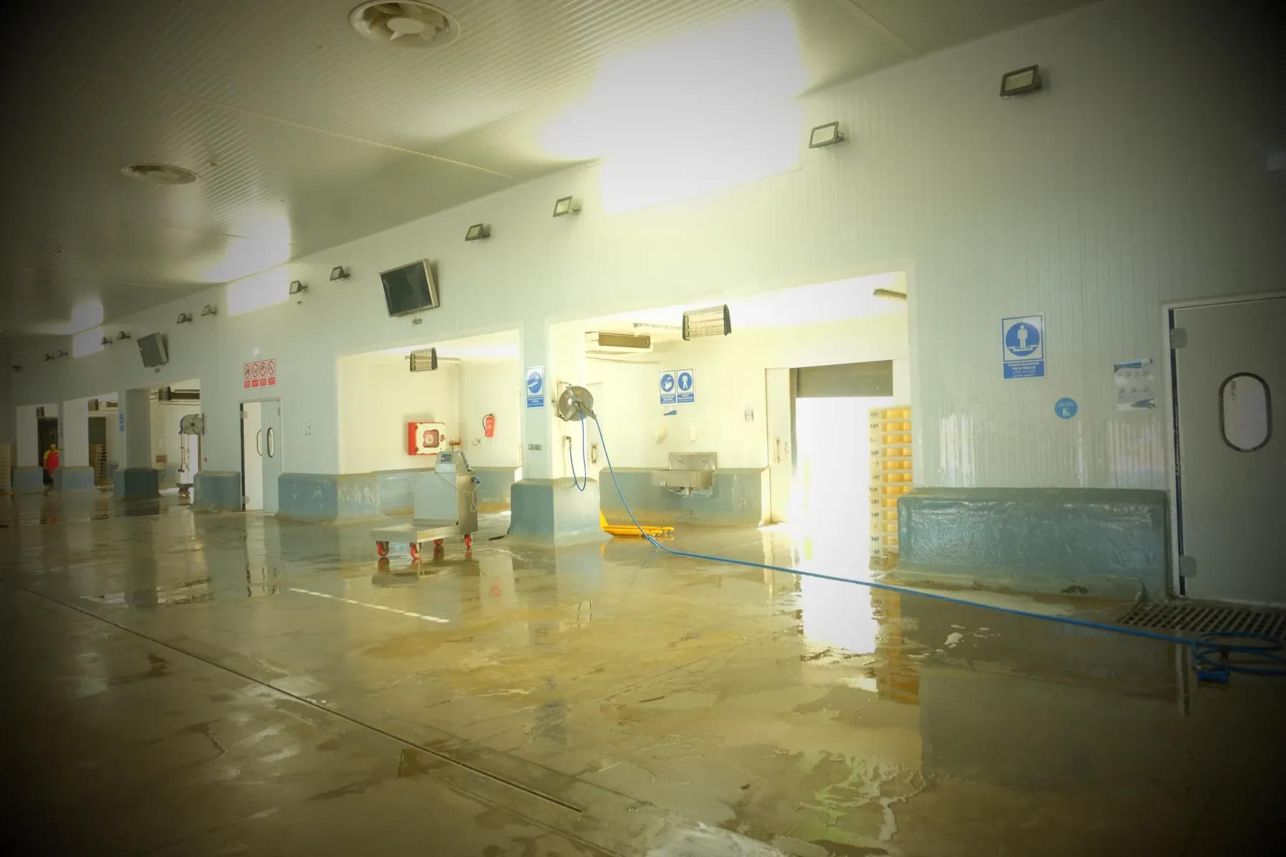 Marché de gros au poisson, Tétouan, photo de chantier 2